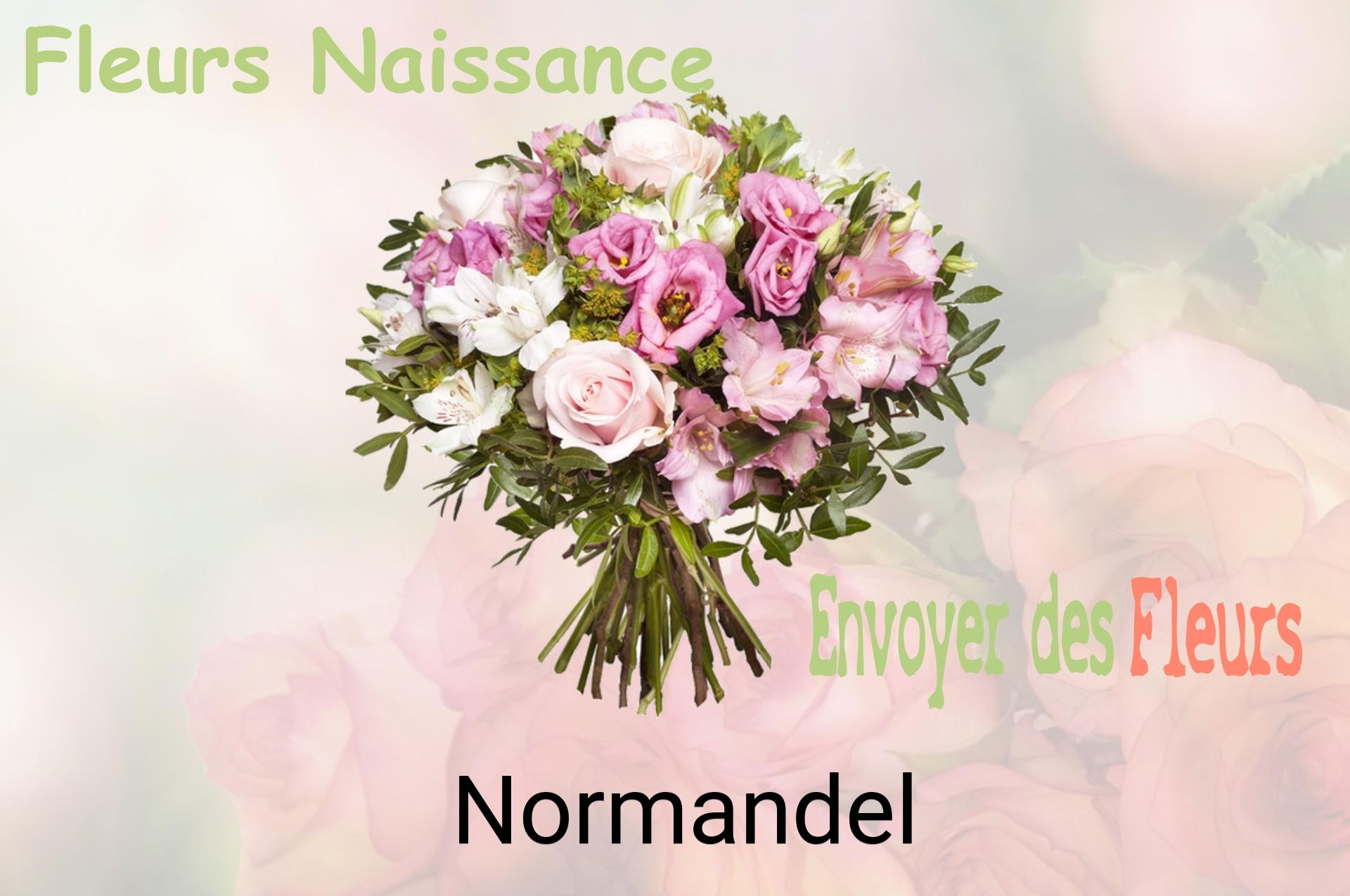 Bouquet de fleurs de naissance livré à Normandel